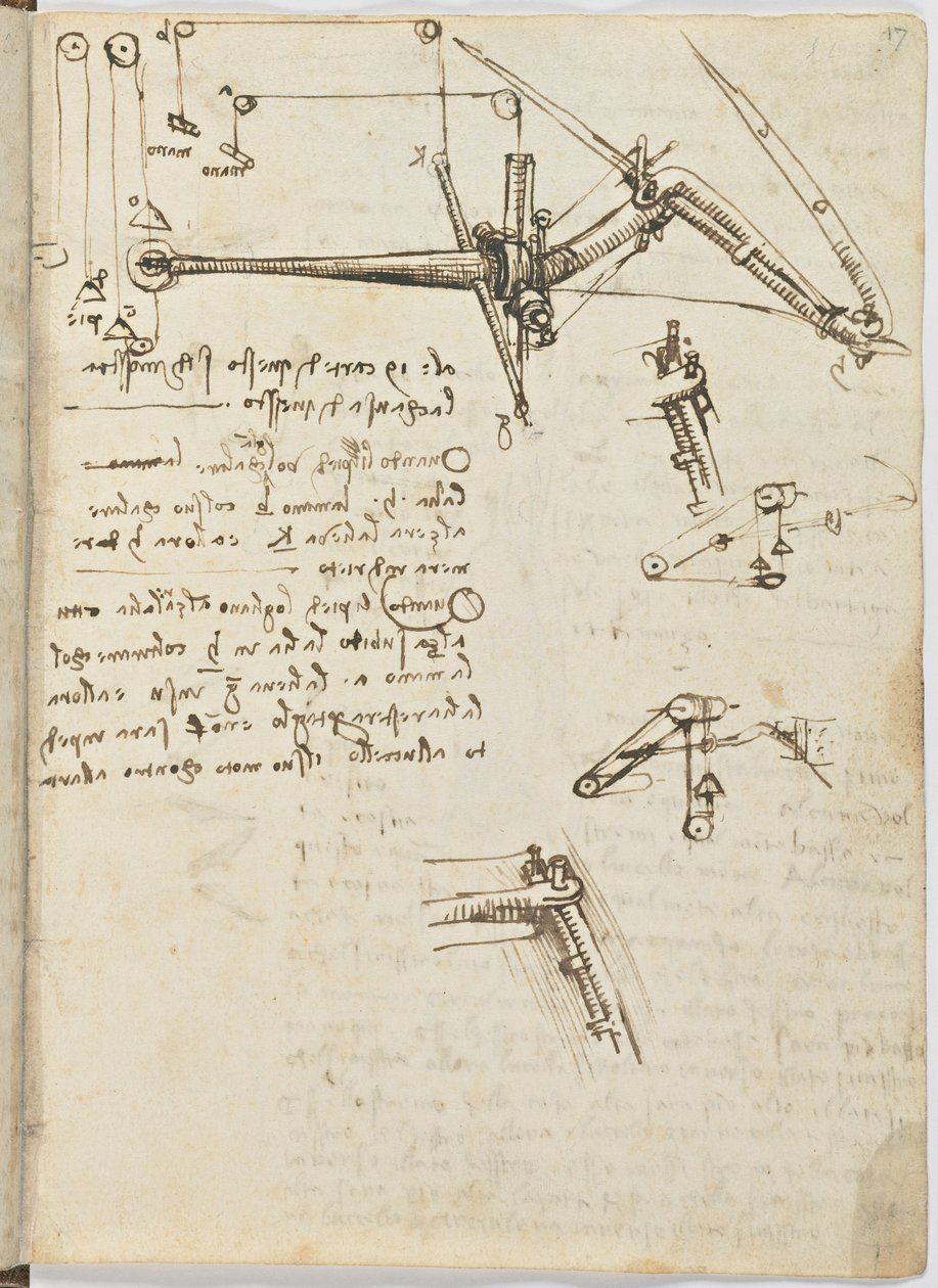 Código sobre el vuelo de los pájaros, c. 1505-06, manuscrito en papel, cc. 18, hoja 17 recto de Leonardo da Vinci