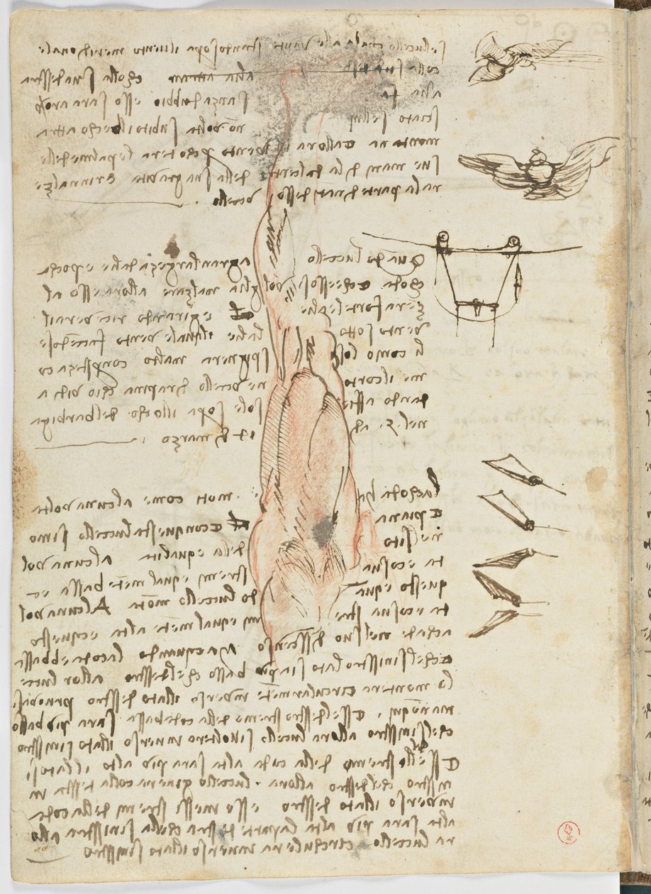 Código sobre el vuelo de los pájaros, c. 1505-06, manuscrito en papel, cc. 18, hoja 17 verso de Leonardo da Vinci