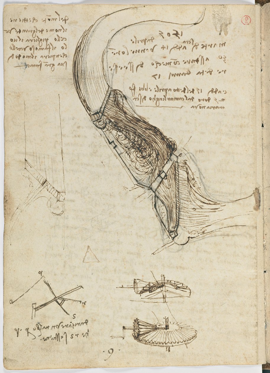 Código sobre el vuelo de los pájaros, c. 1505-06, manuscrito en papel, cc. 18, hoja 18 verso de Leonardo da Vinci