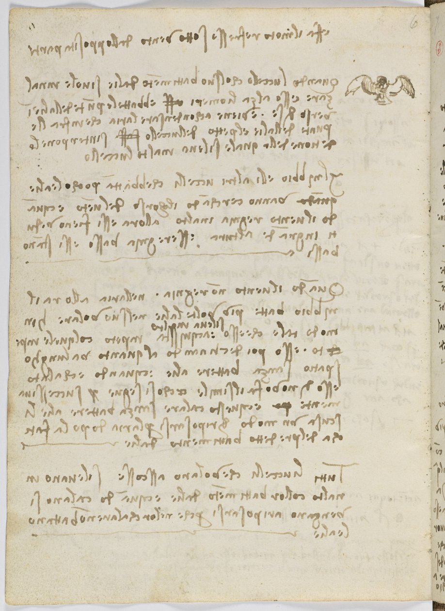 Código sobre el vuelo de los pájaros, c. 1505-06, manuscrito en papel, cc. 18, hoja 5 verso de Leonardo da Vinci