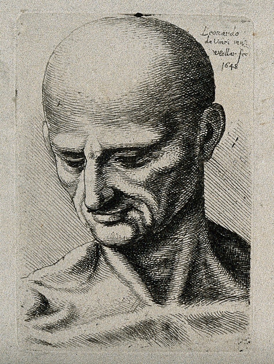Busto de un Hombre Delgado, Mirando hacia Abajo a su Derecha Inferior de Leonardo da Vinci