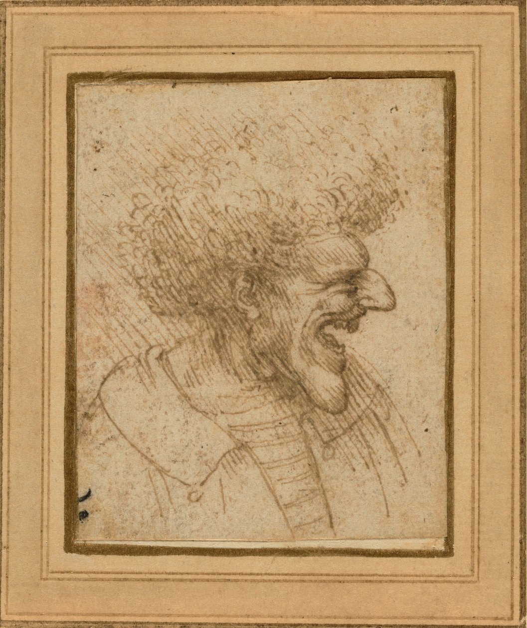 Caricatura de un hombre con cabello espeso, c.1495 de Leonardo da Vinci