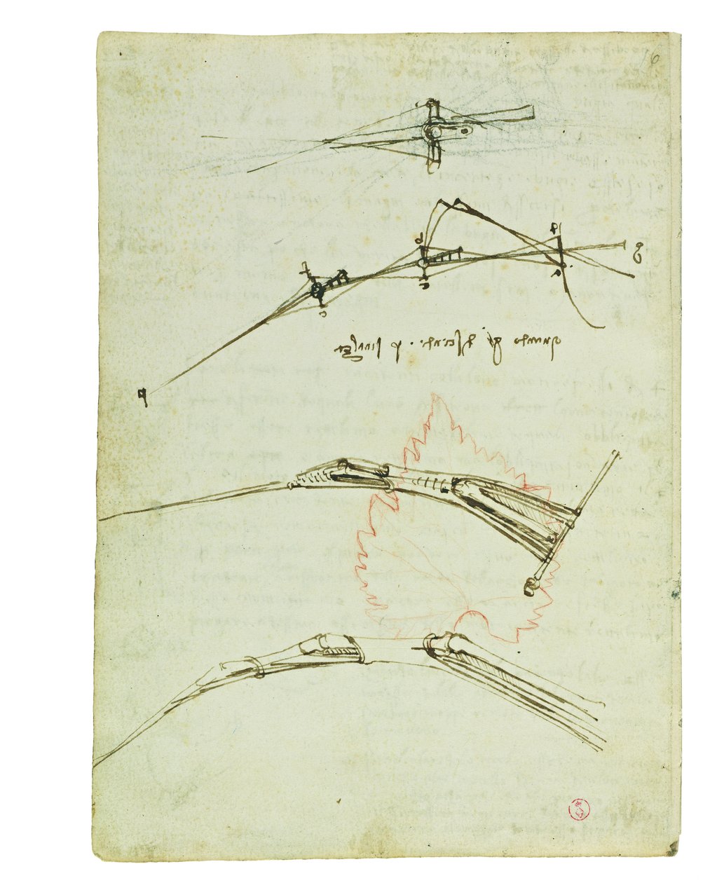 Códice sobre el vuelo de los pájaros, Folio 11 verso de Leonardo da Vinci