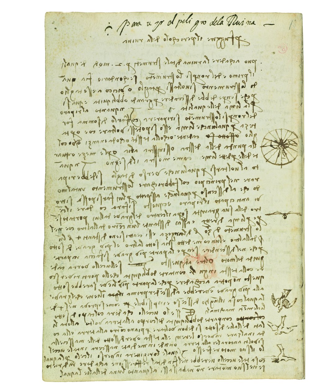 Códice sobre el vuelo de los pájaros, Folio 12 verso de Leonardo da Vinci