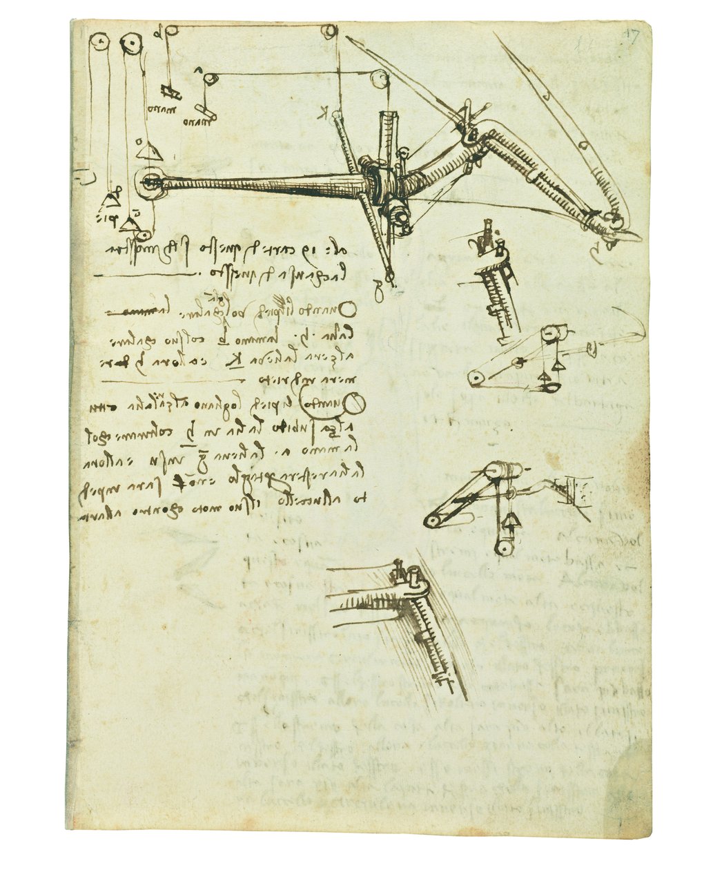 Códice sobre el vuelo de los pájaros, Folio 17 recto de Leonardo da Vinci