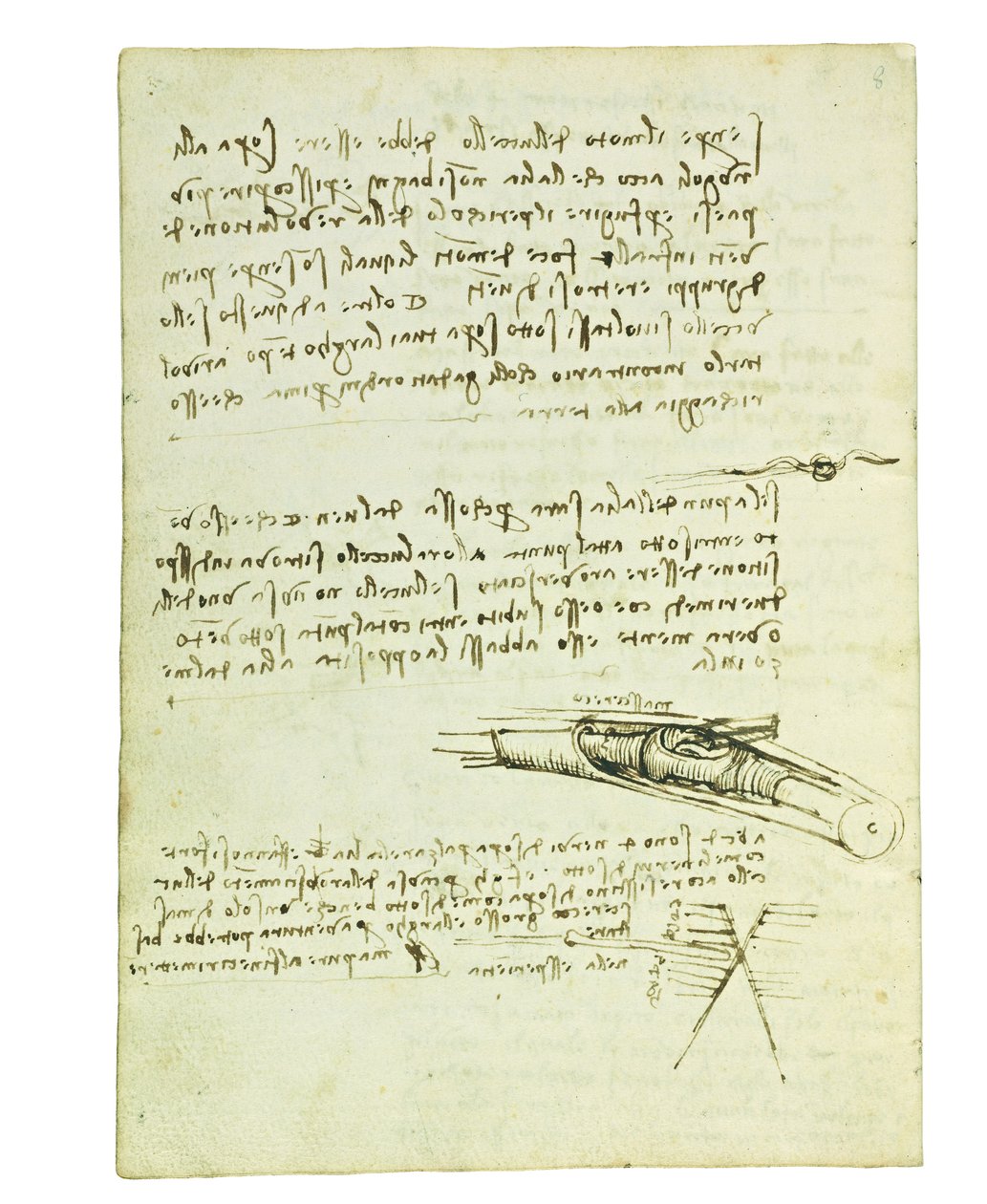 Códice sobre el vuelo de los pájaros, Folio 6 verso de Leonardo da Vinci