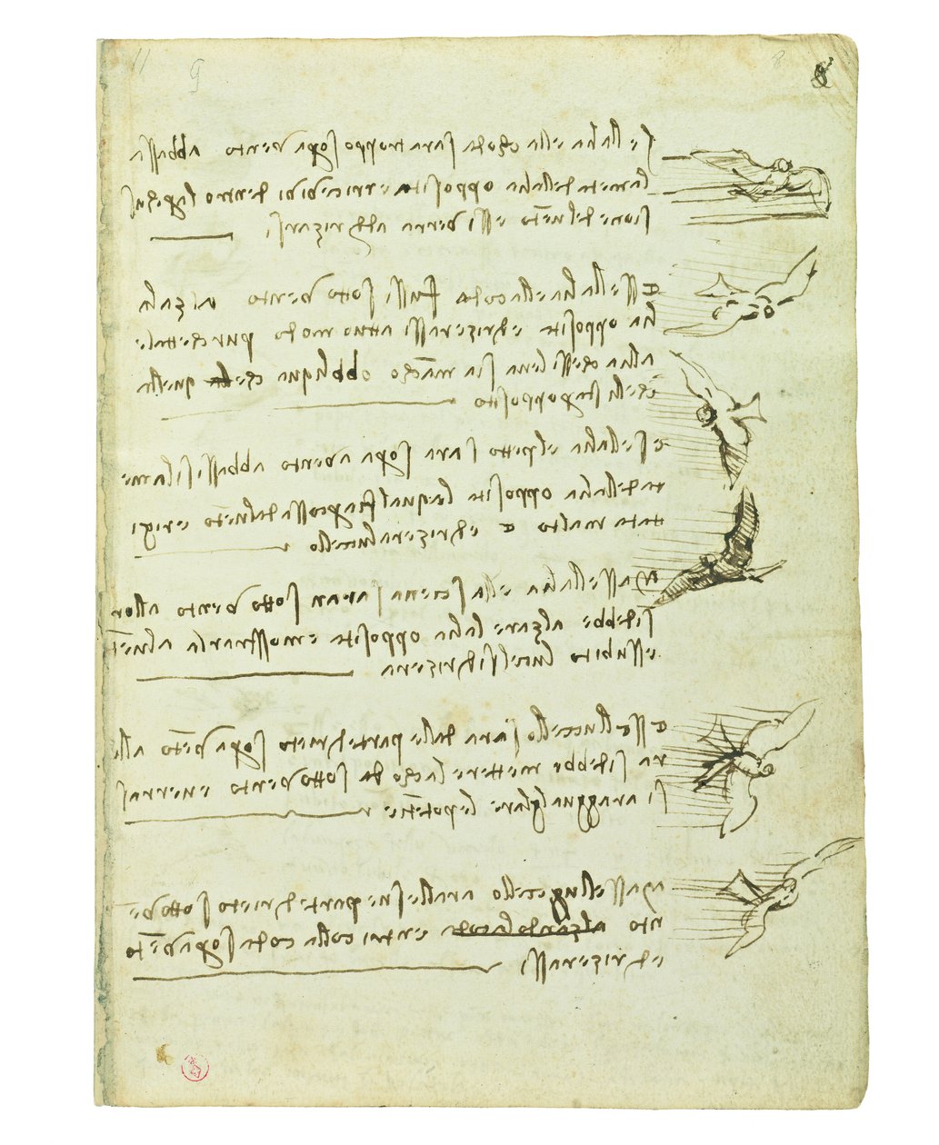 Códice sobre el vuelo de los pájaros, Folio 8 recto de Leonardo da Vinci