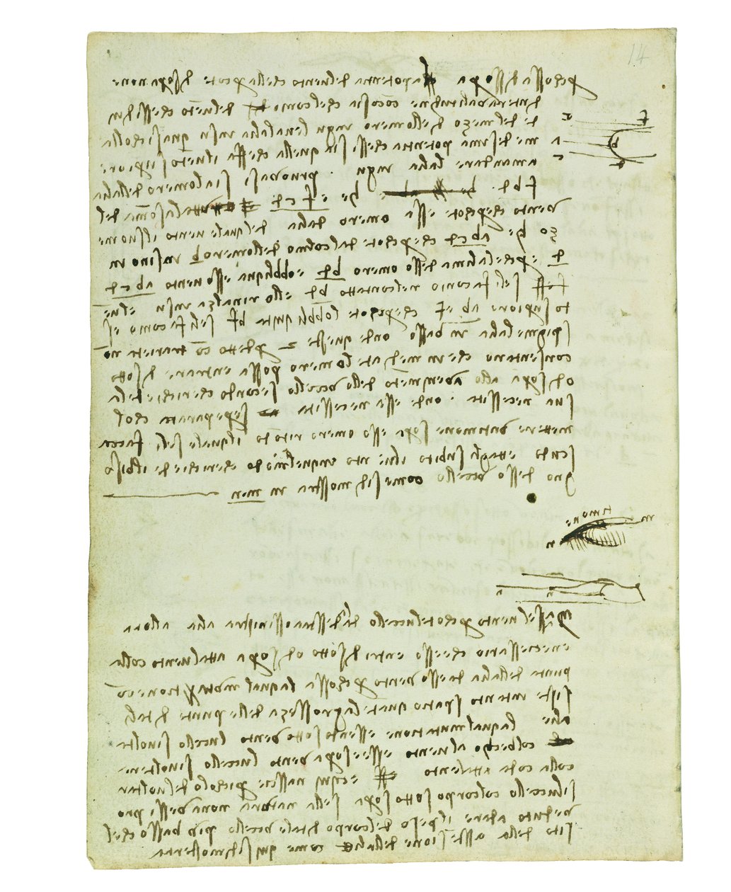 Códice sobre el vuelo de los pájaros, Folio 9 verso de Leonardo da Vinci