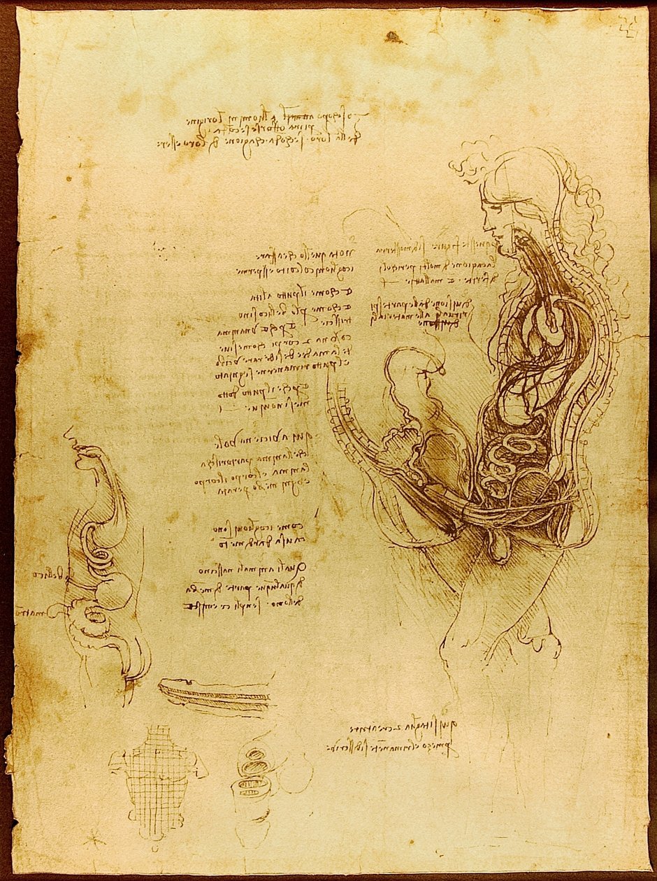 Coito de un Hombre y una Mujer Hemiseccionados de Leonardo da Vinci