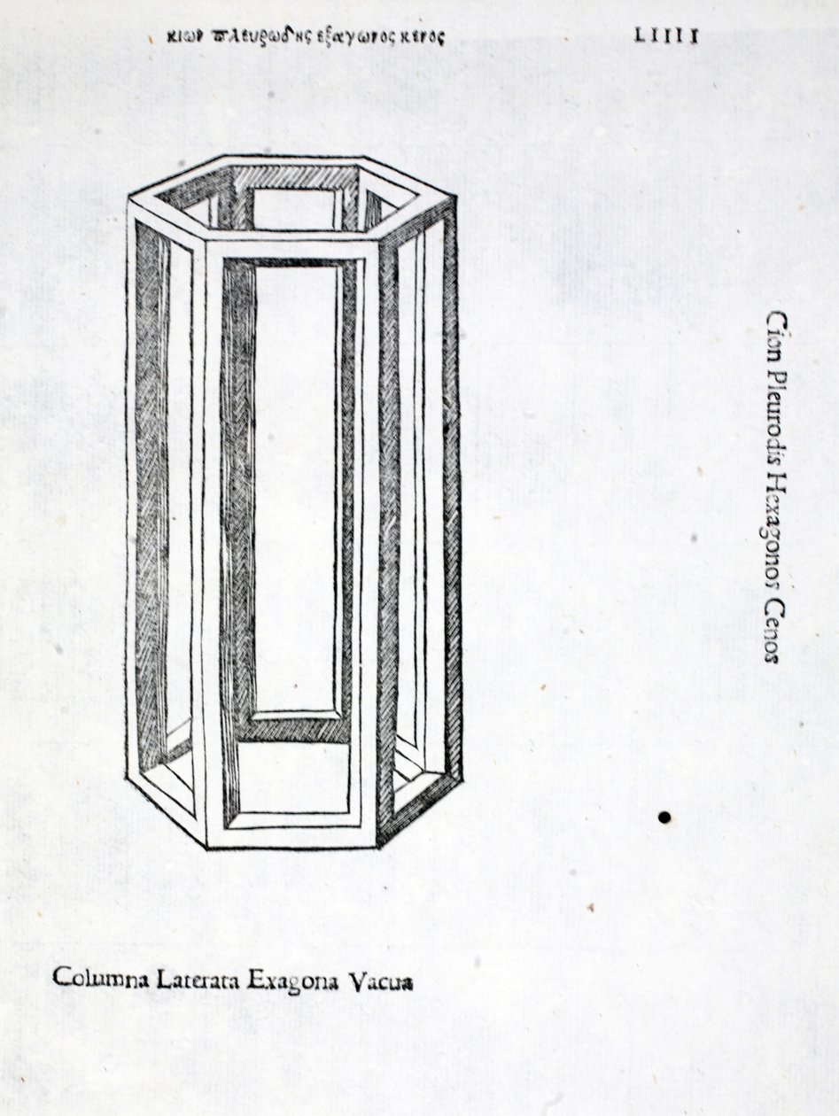 Columna laterata exagona vacua, ilustración de 