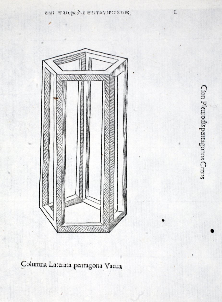 Columna laterata pentagona vacua, ilustración de 