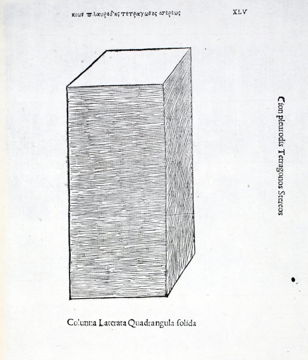 Columna laterata quadrangula solida, ilustración de 