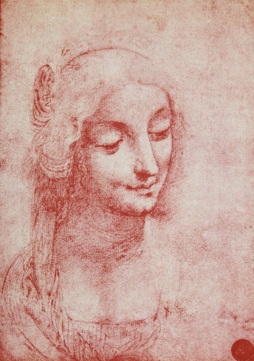 Cabeza de una Mujer de Leonardo da Vinci