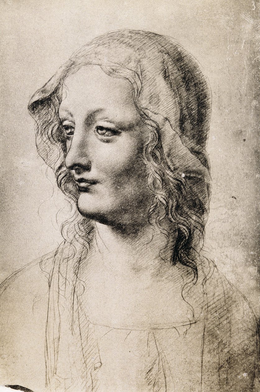 Cabeza de una Joven Mujer de Leonardo da Vinci