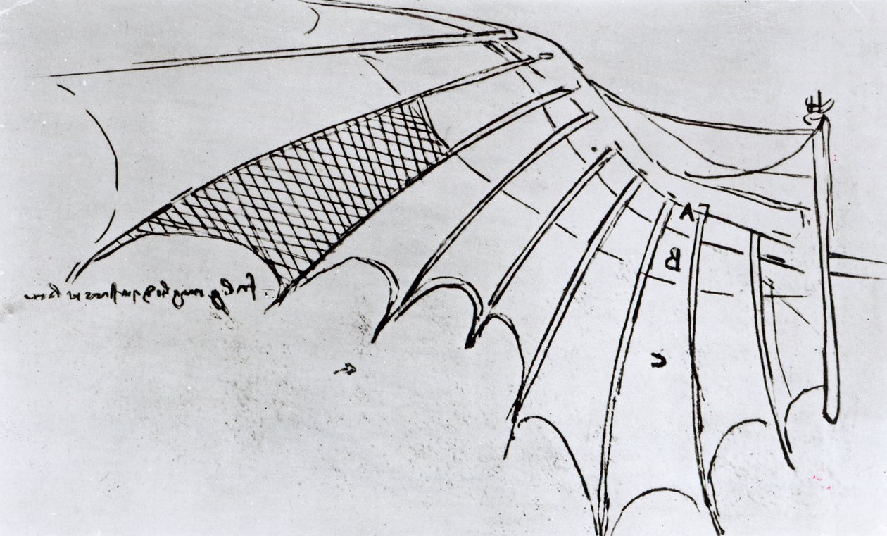 M S B 2173 fol. 74r Estudios de articulación de alas, 1487-90 de Leonardo da Vinci