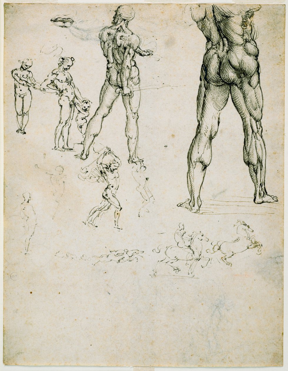 Nudi, para la “Batalla de Anghiari” y otros estudios de figuras de Leonardo da Vinci