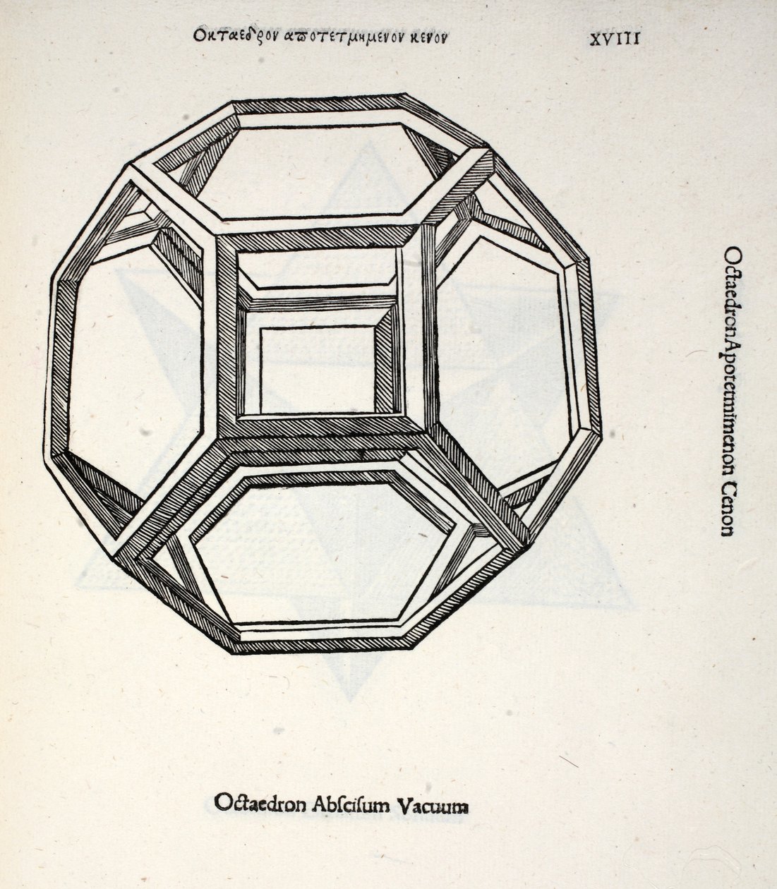 Octocedron abscisum vacuum, ilustración de 