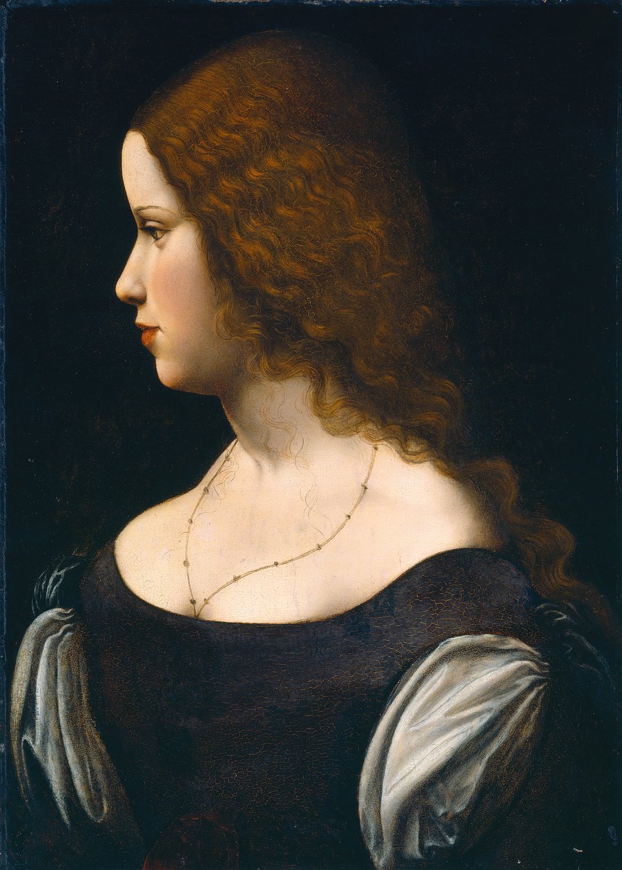 Retrato de una joven dama de Leonardo da Vinci