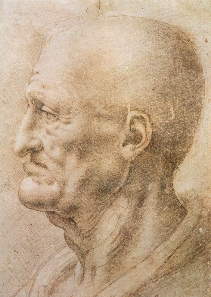 Perfil de un anciano de Leonardo da Vinci