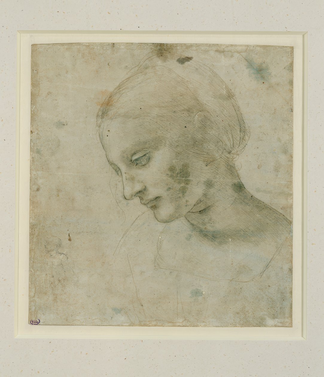 Estudio de una cabeza femenina en perfil aproximado de Leonardo da Vinci