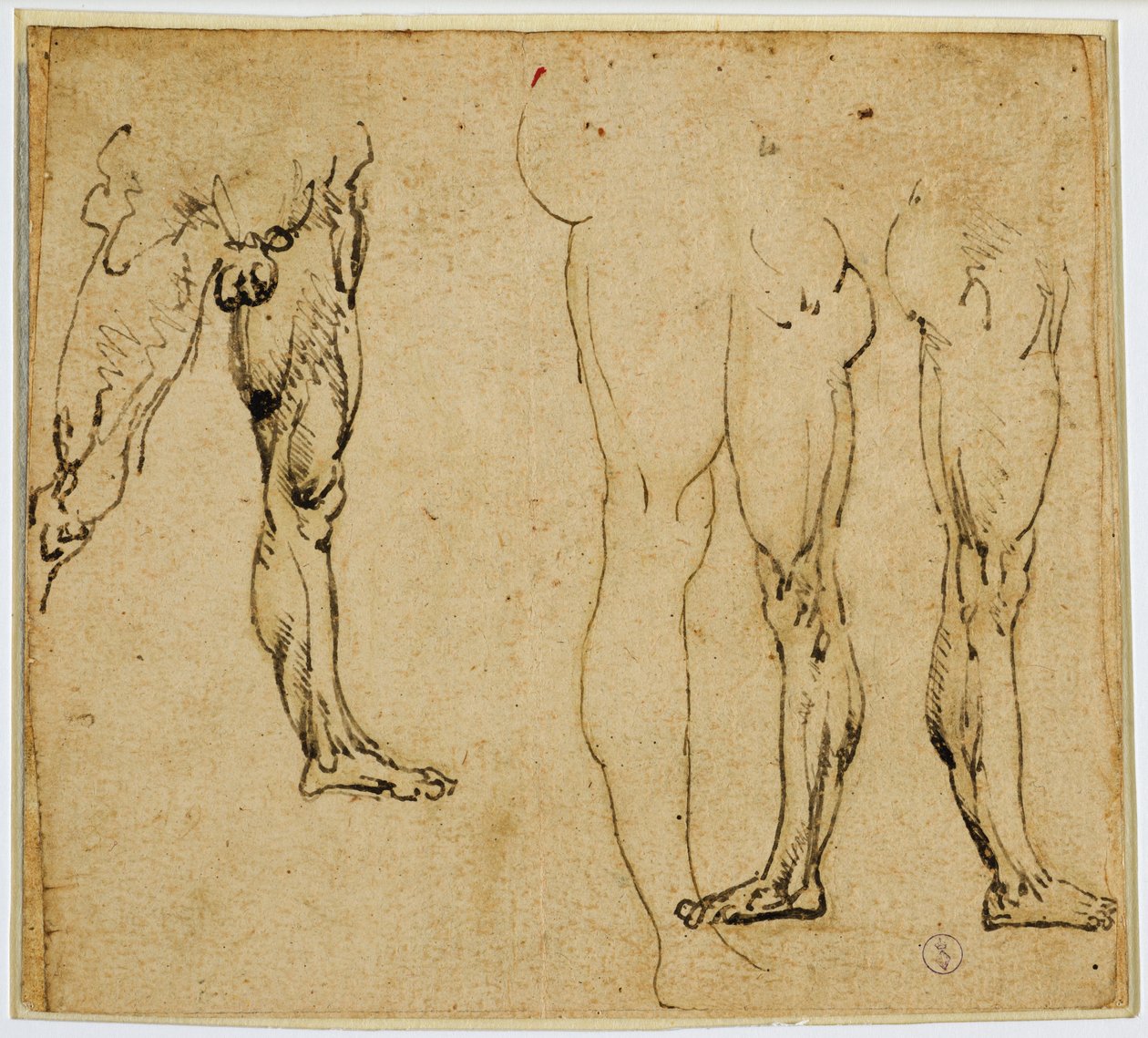 Estudios de piernas masculinas de Leonardo da Vinci