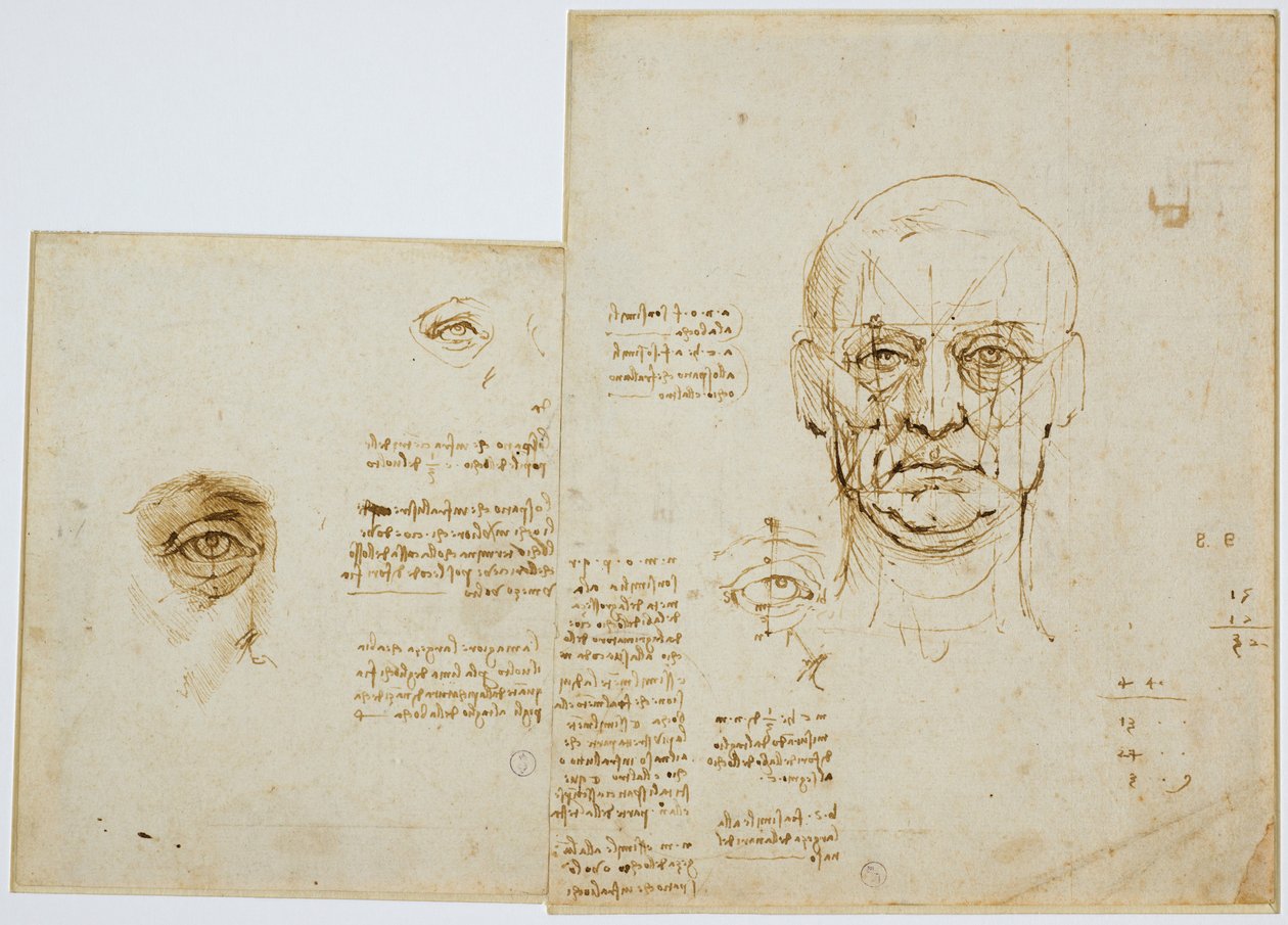 Estudios de proporciones de la cara y el ojo (con notas) de Leonardo da Vinci