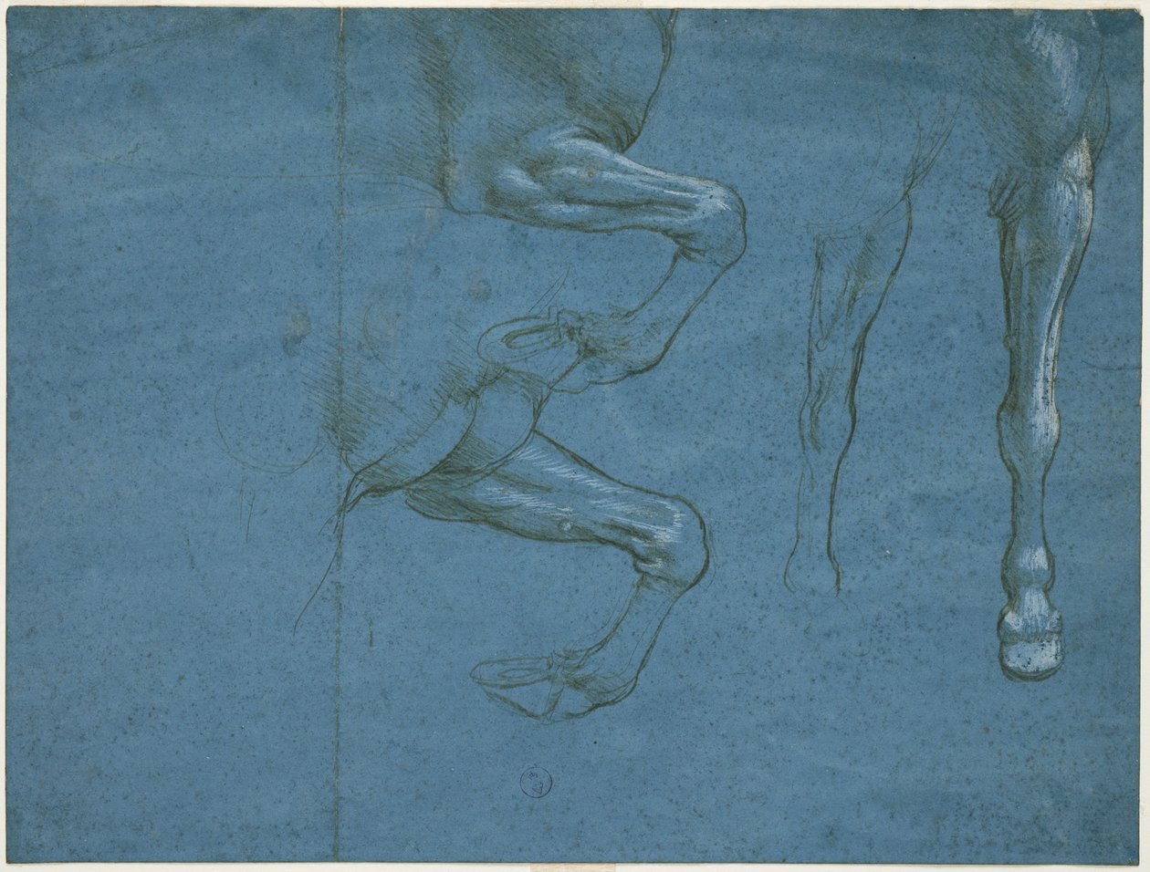 Estudios de las extremidades anteriores del caballo de Leonardo da Vinci