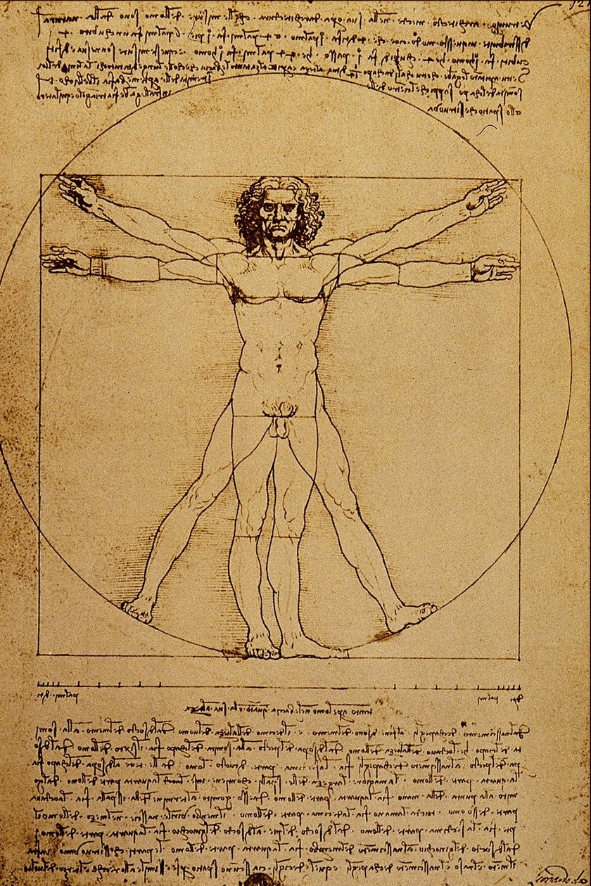 Estudio del cuerpo humano de Leonardo da Vinci