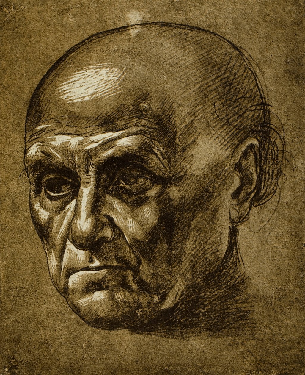 Estudio de un rostro masculino de Leonardo da Vinci