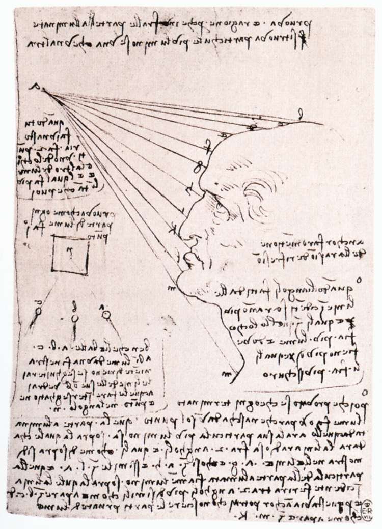 Estudio del efecto de la luz en una cabeza de perfil de Leonardo da Vinci