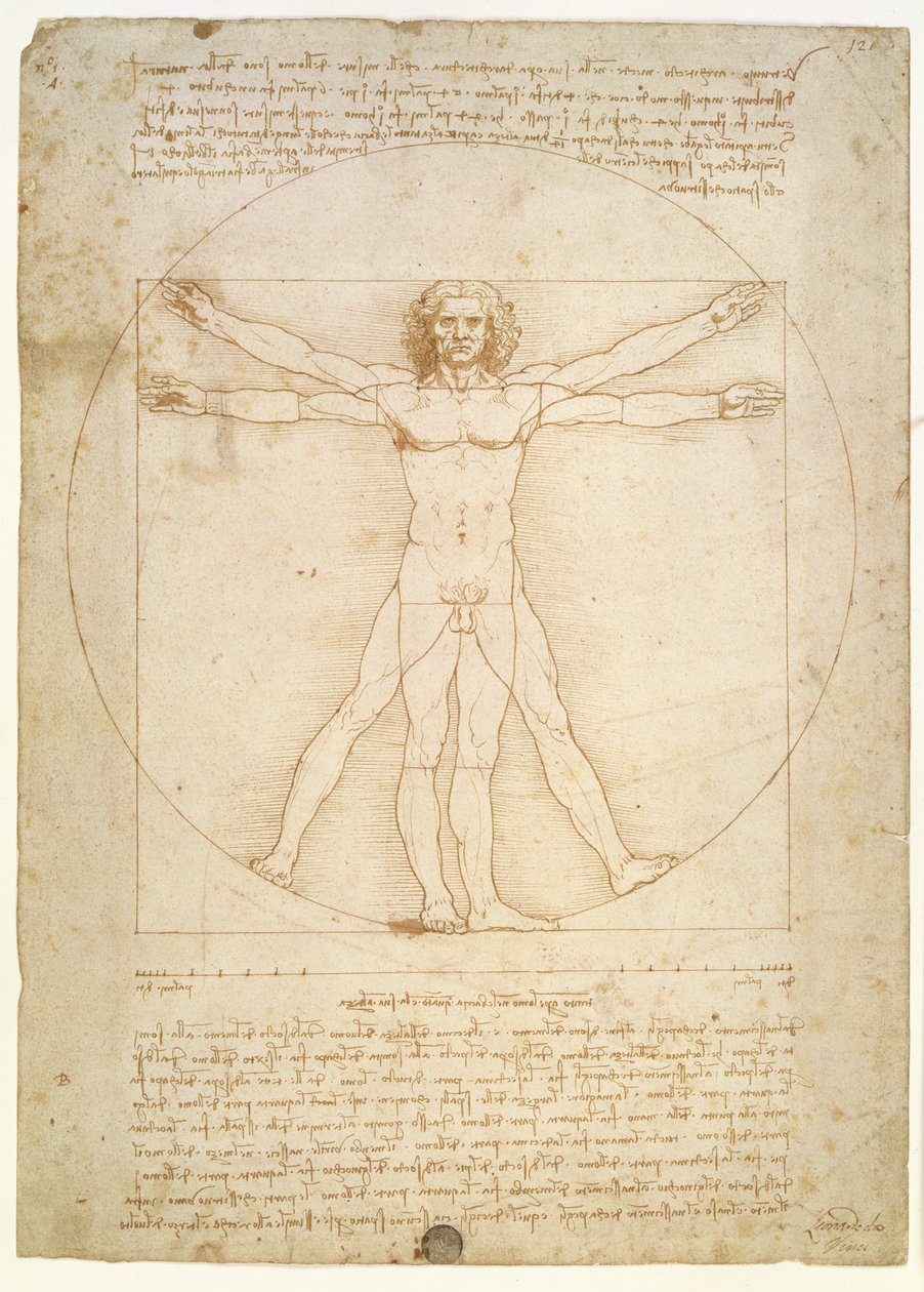 Las proporciones de la figura humana (según Vitruvio), c.1492 de Leonardo da Vinci