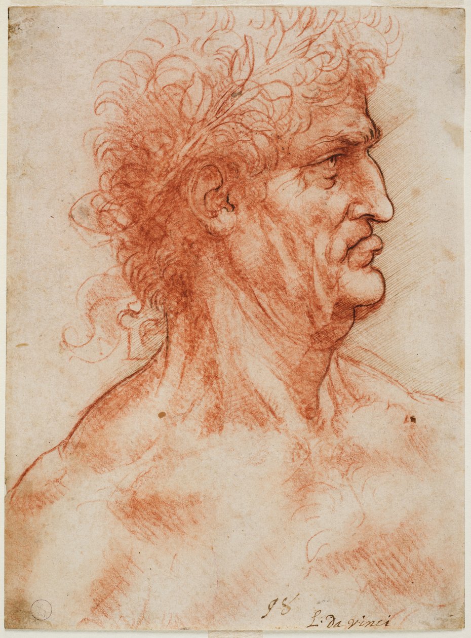 Cabeza viril de perfil coronada con laurel, c. 1506-10 de Leonardo da Vinci