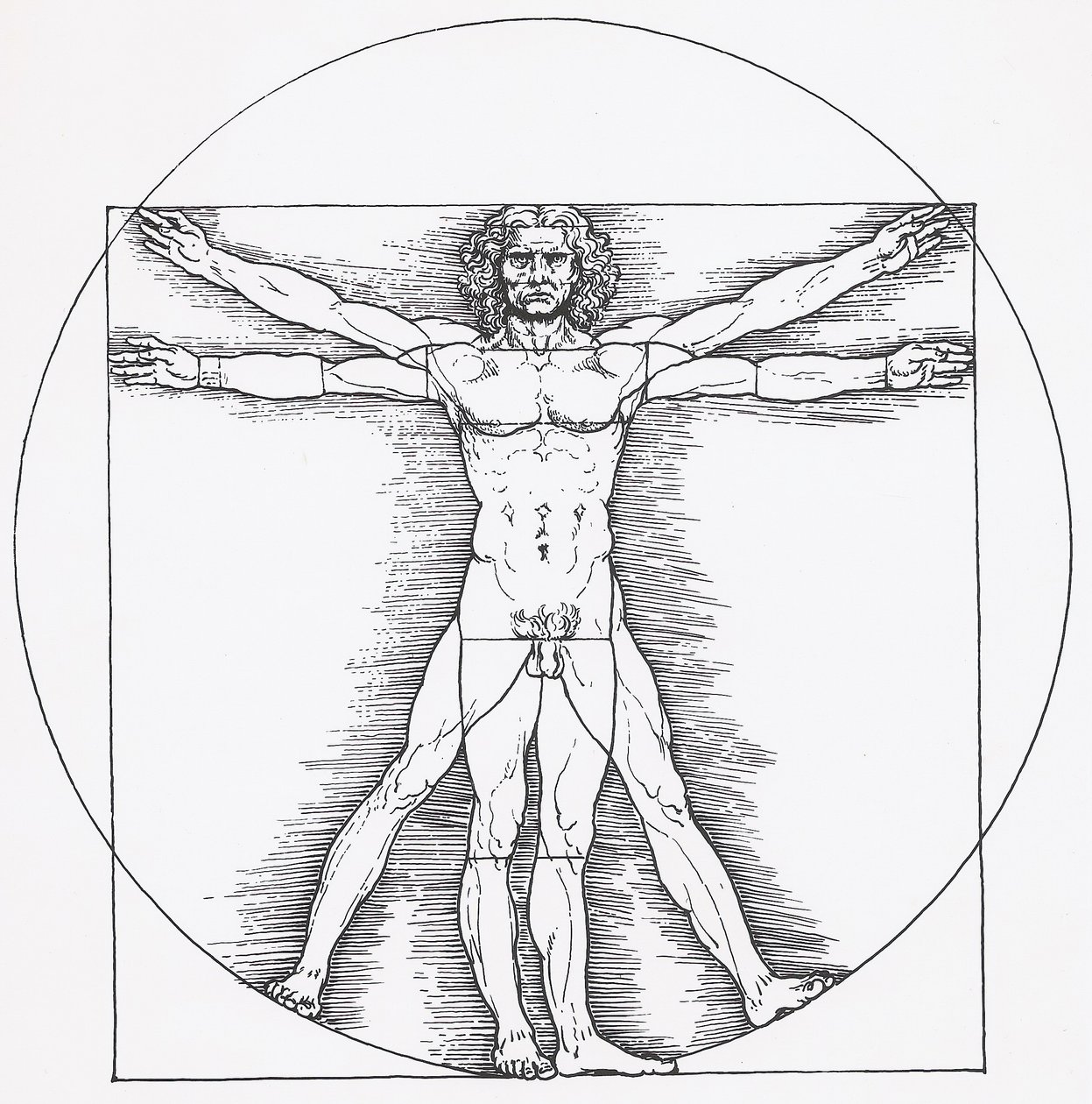 Hombre de Vitruvio de Leonardo da Vinci