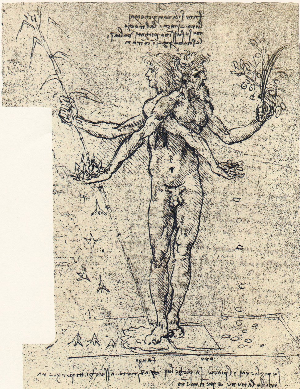 dibujo desconocido de un cuerpo andrógino con dos cabezas de Leonardo da Vinci