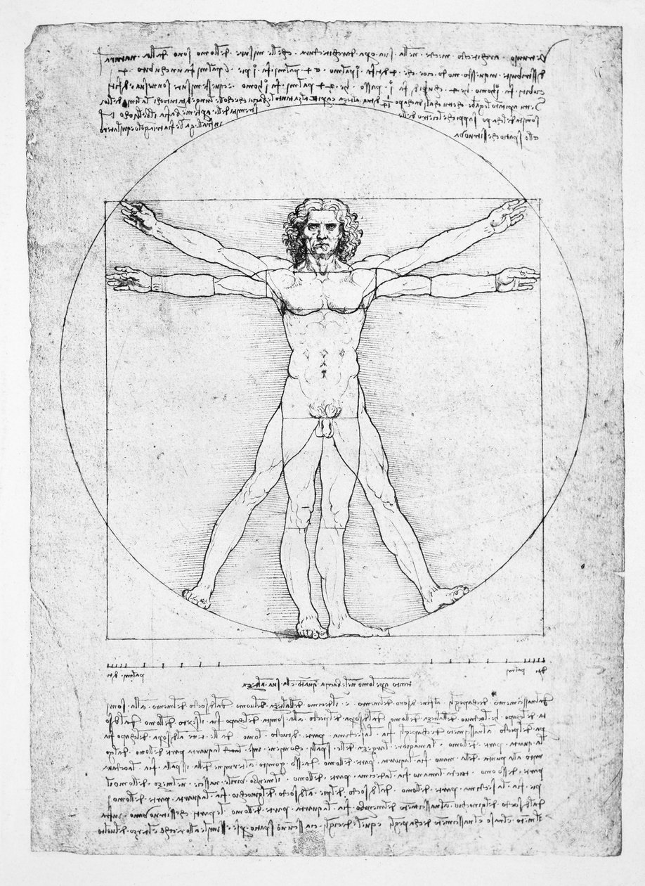 Las proporciones de la figura humana (después de Vitruvio), c.1492 de Leonardo da (after) Vinci