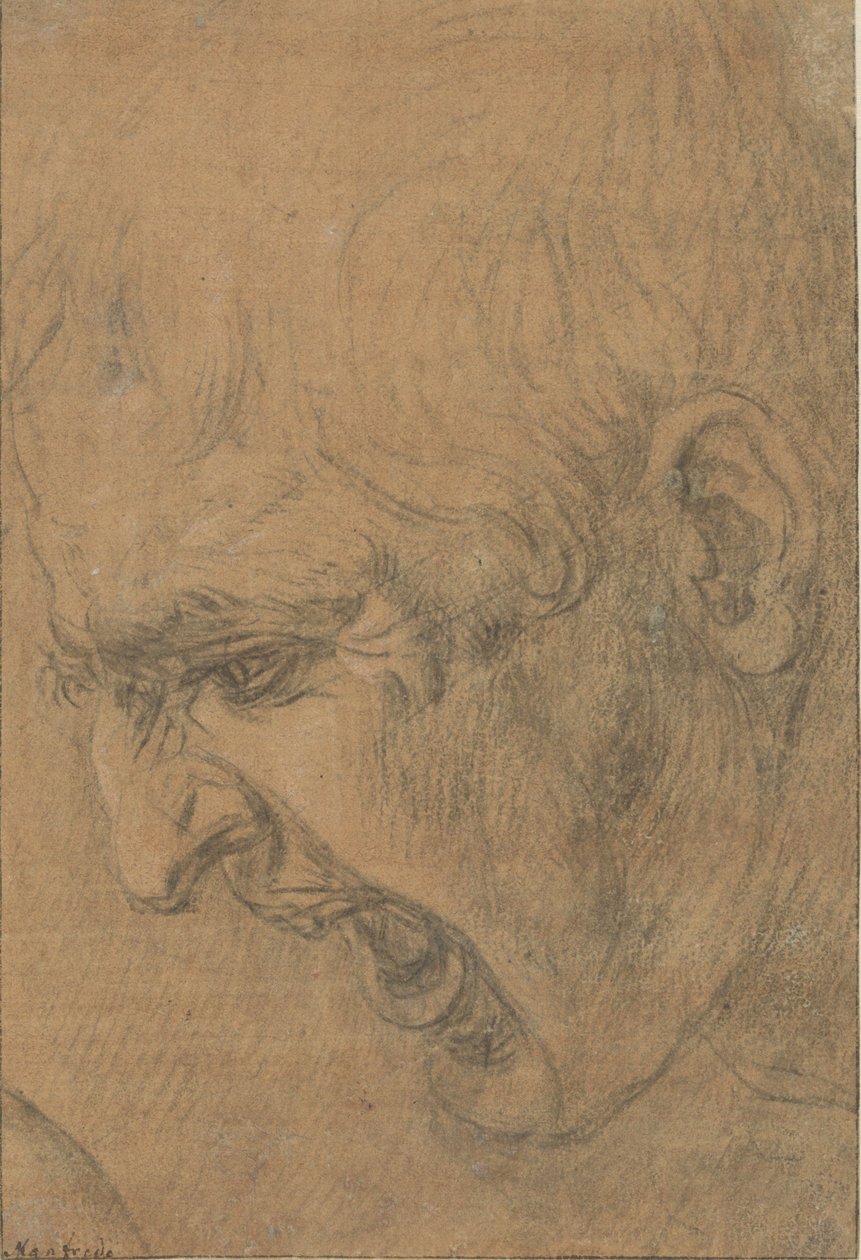 Cabeza de un hombre gritando de Leonardo da (follower of) Vinci