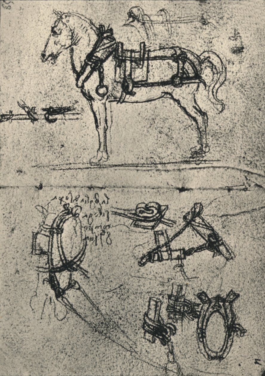 Un caballo de tiro con arnés y estudios de arnés, c1480 1945 de Leonardo da Vinci