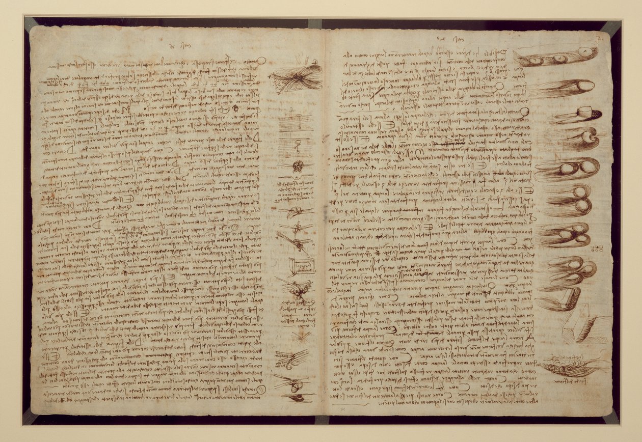 Una página del Códice Leicester, 1508-12 de Leonardo da Vinci
