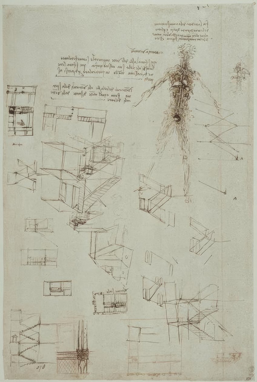 Estudios anatómicos de Leonardo da Vinci