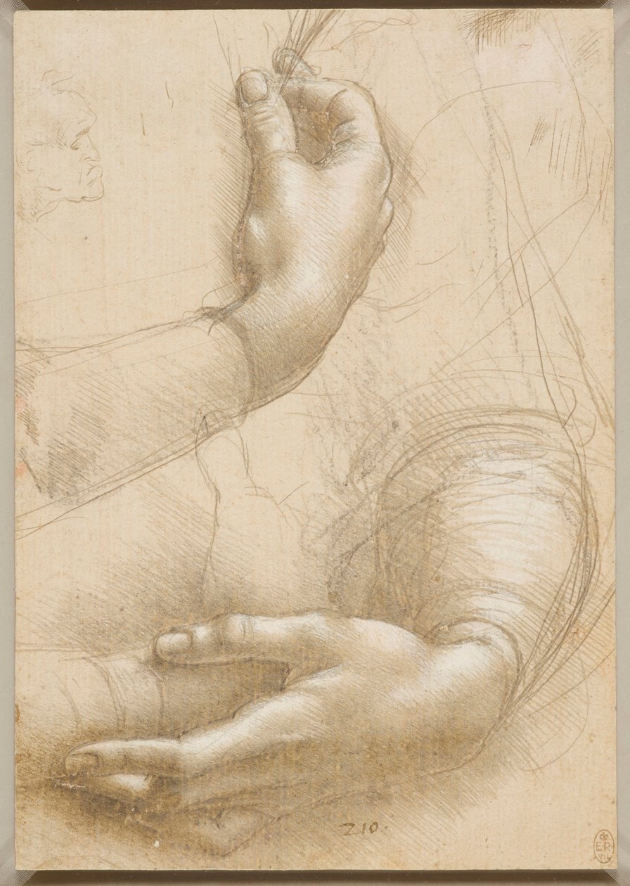Brazos y manos femeninas, c. 1480 de Leonardo da Vinci
