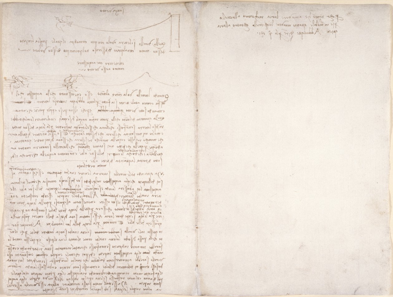 Arundel 263, f.166v, f.163 Notas y diagramas sobre el vuelo de las aves, de 