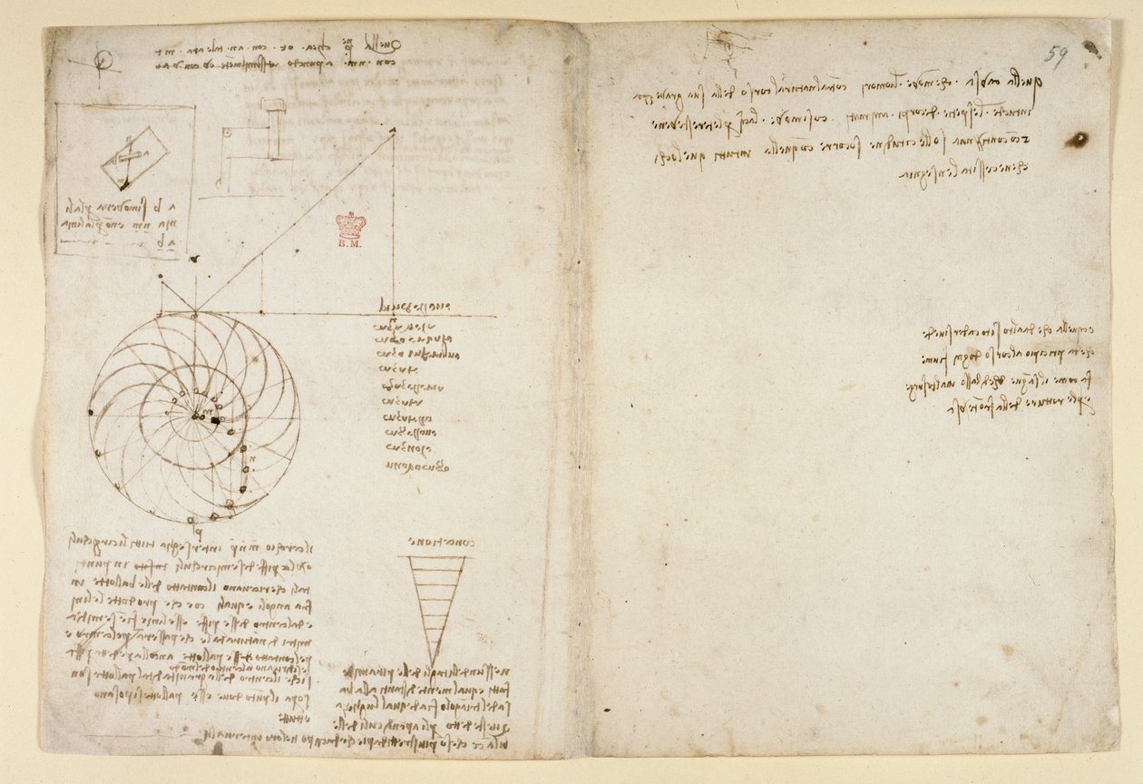 Arundel 263, f.44v, f.59 Bosquejo de un ojo y una nariz de un rostro de perfil; notas sobre el agua, de 