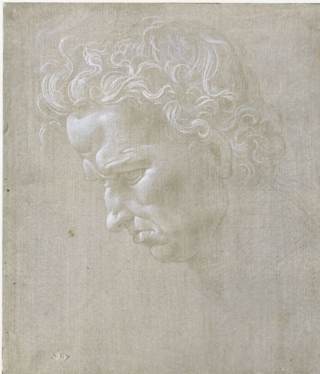 El rostro de un hombre de perfil de Leonardo da Vinci