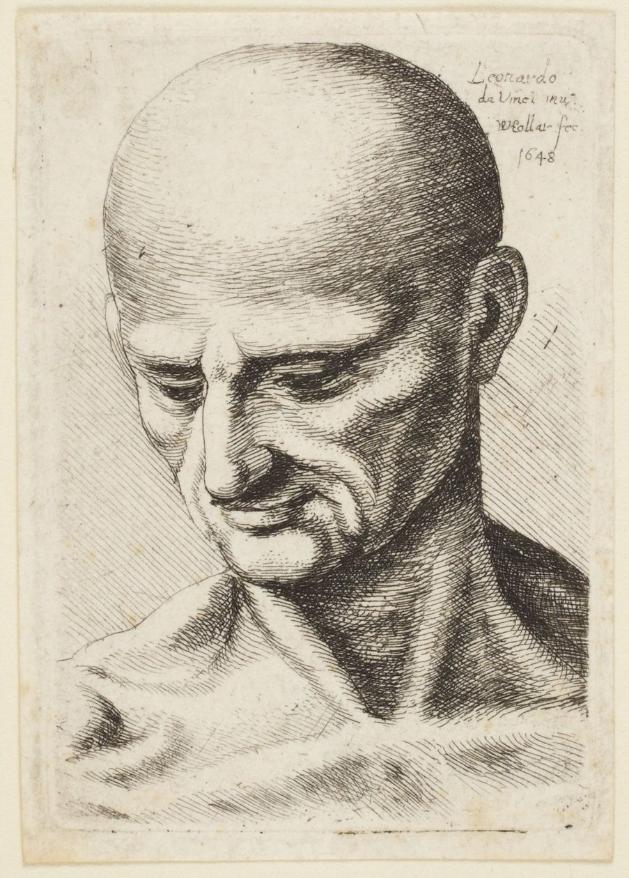 El hombre calvo de Leonardo da Vinci