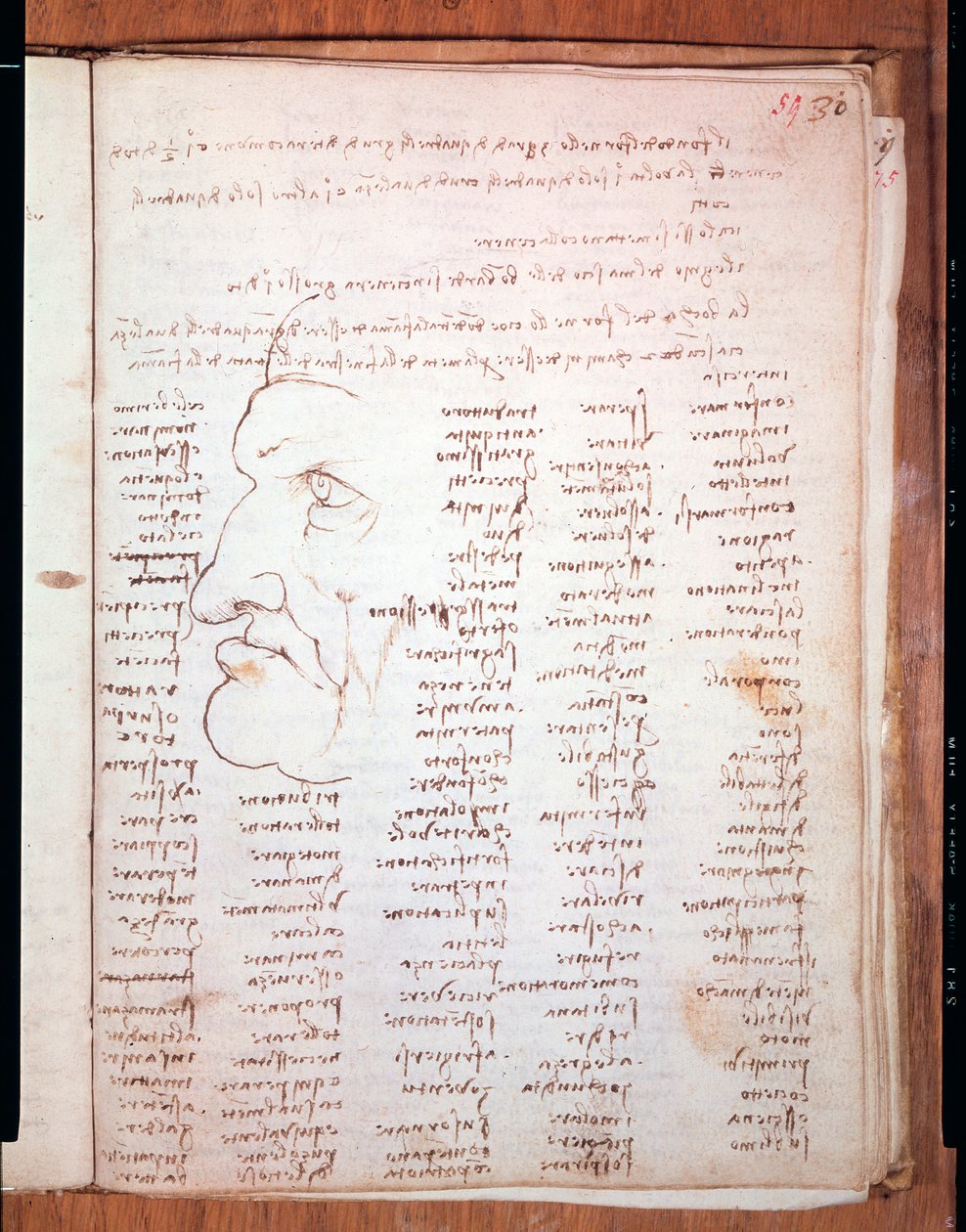 Códice Trivulziano de Leonardo da Vinci - Biblioteca Trivulziana, Milán de Leonardo da Vinci