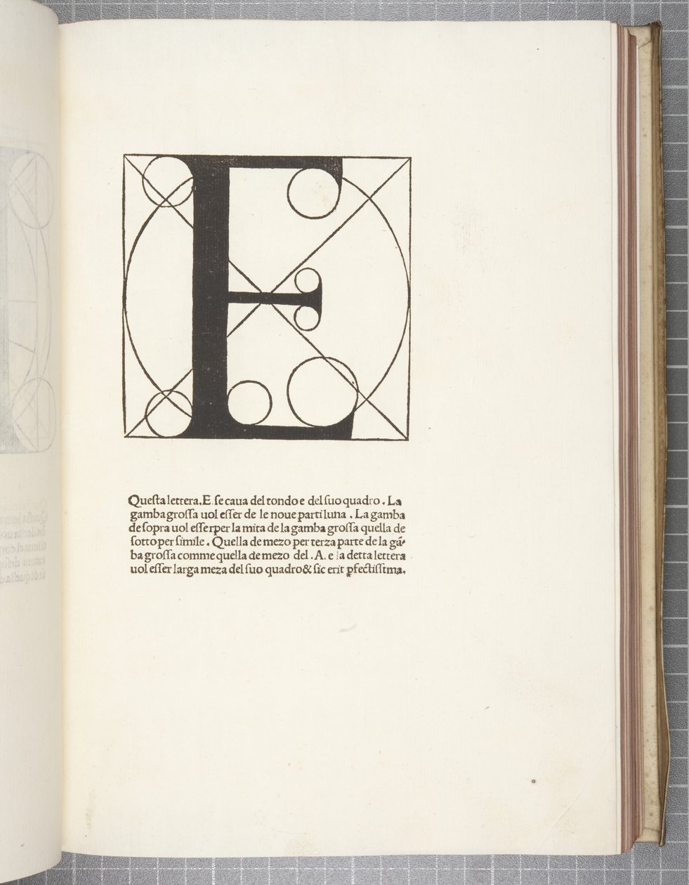 Divina Proportione, por Luca Pacioli de Leonardo da Vinci