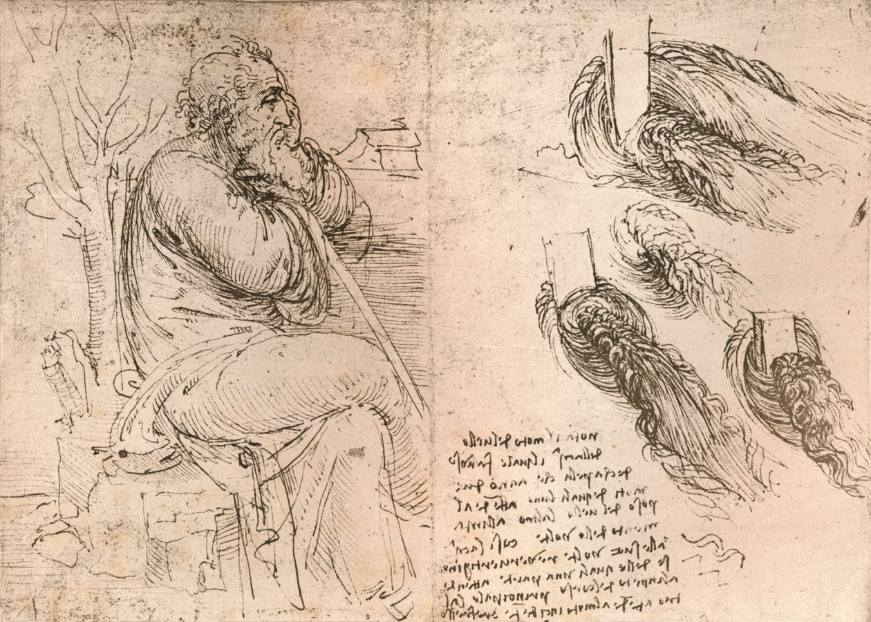 Dibujo que ilustra la representación del cabello cayendo en rizos, c1472-c1519 1883 de Leonardo da Vinci