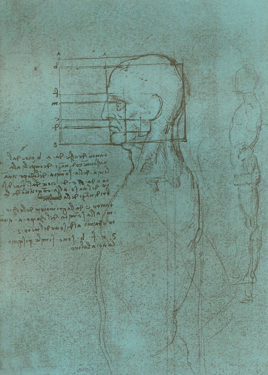 Dibujo que ilustra la teoría de las proporciones de la figura humana de Leonardo da Vinci