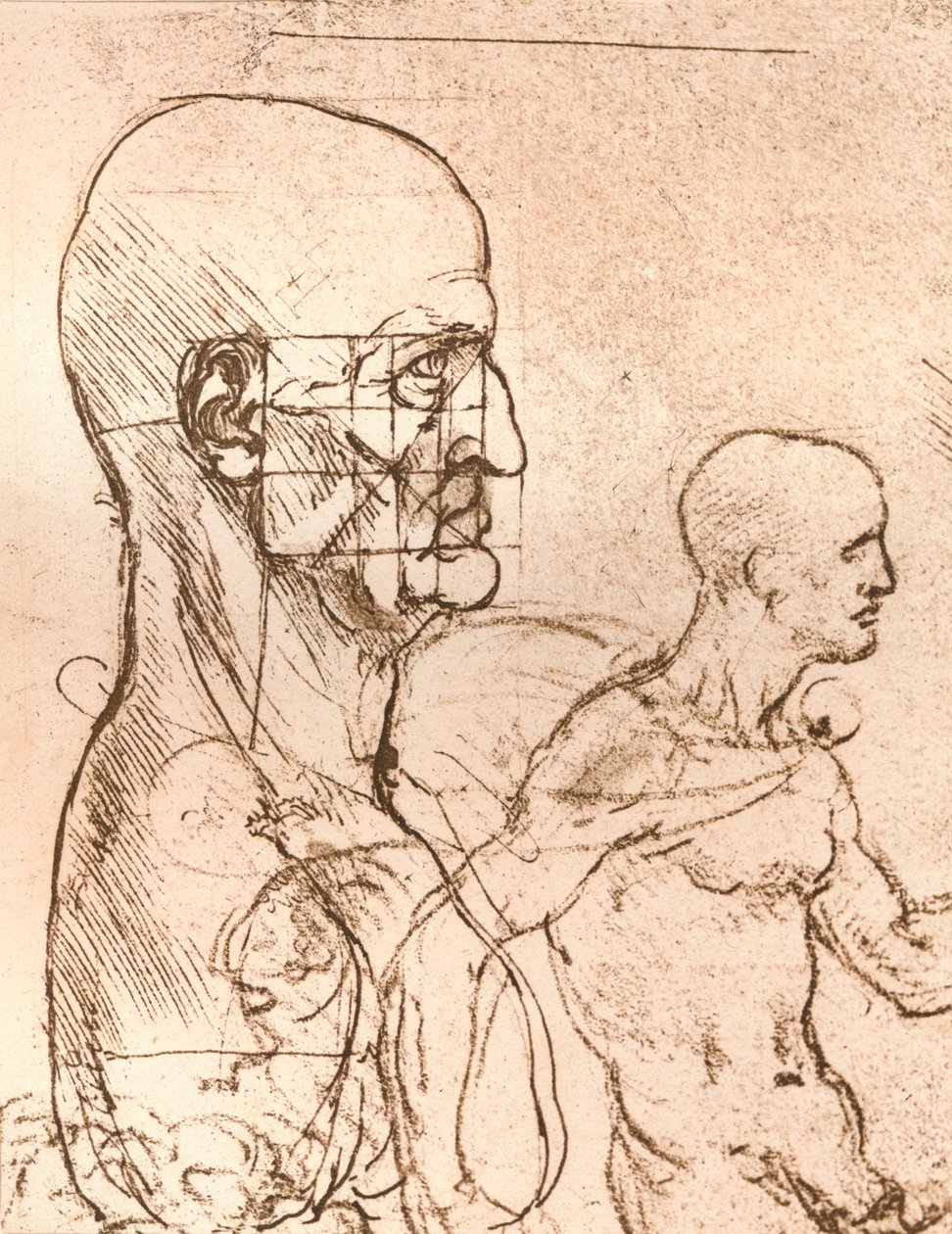 Dibujo que ilustra la teoría de las proporciones de la figura humana, c. 1472-c. 1519, 1883 de Leonardo da Vinci
