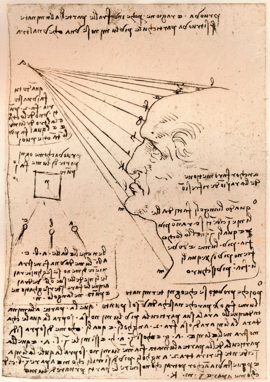 Dibujo de una cabeza masculina, ilustrando la práctica de la pintura de Leonardo da Vinci